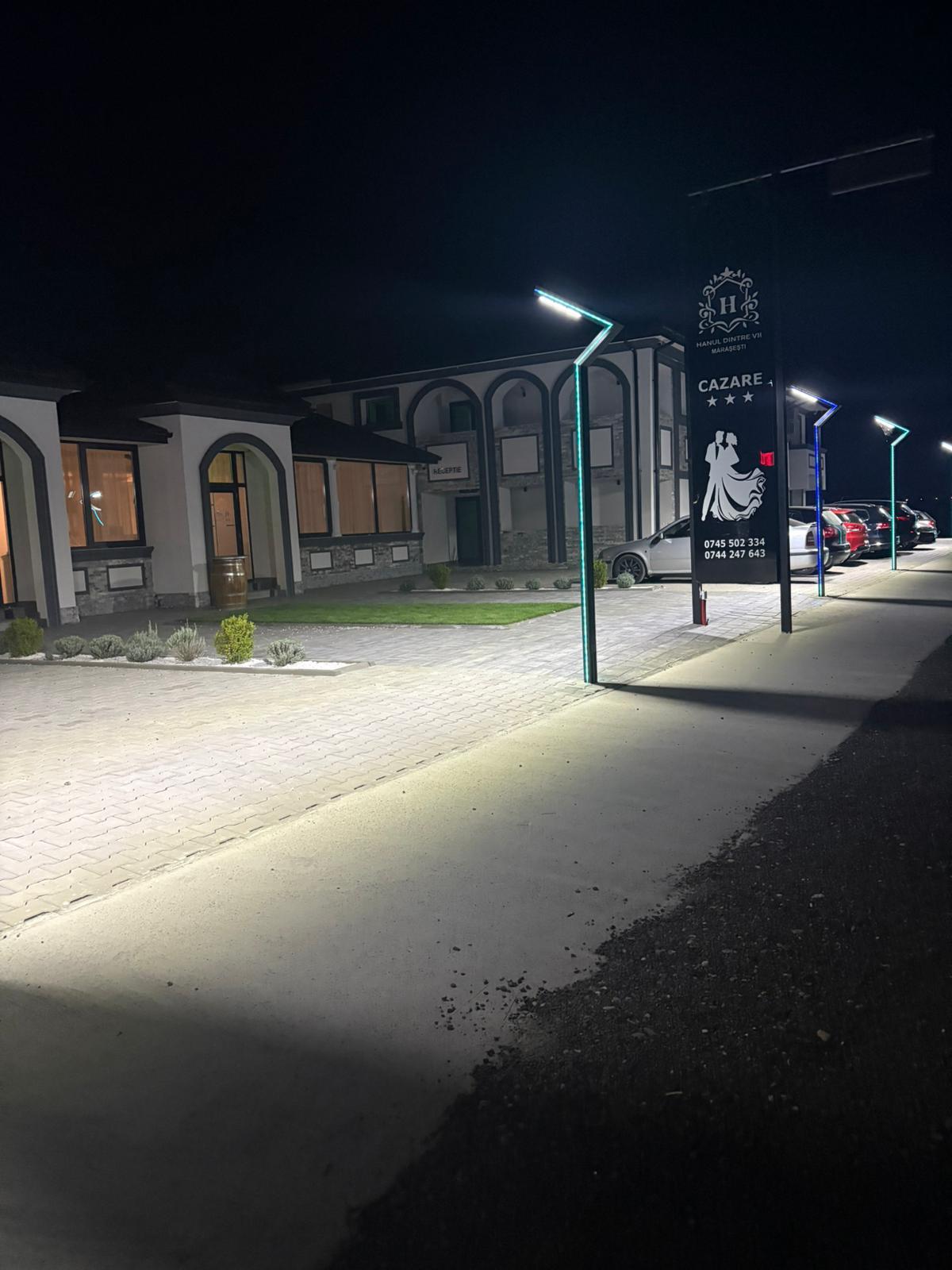 Salon Hanul dintre Vii - 9